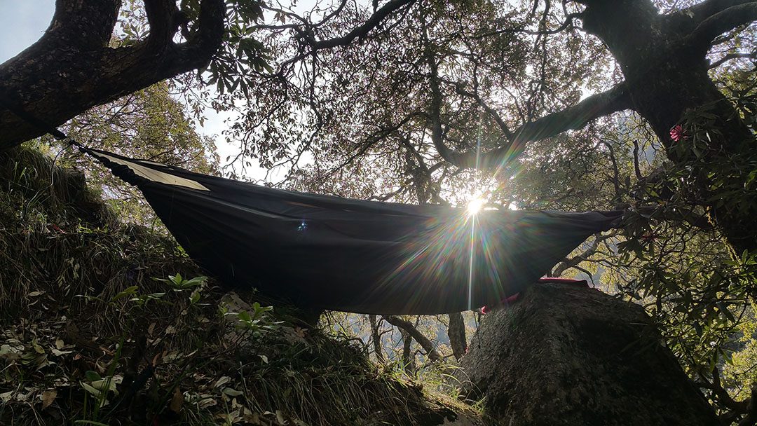 Dharamsala Rhododendron Bliss (I Indien med min Hennessy Hammock) 6